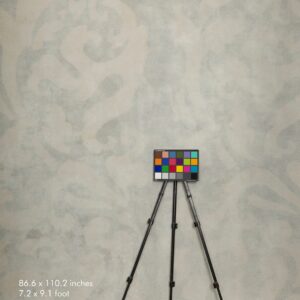 Backdrop 3576 - Old wall, warm cold gray