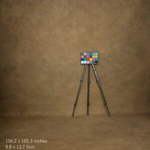 Backdrop 5122 - Peanut brown