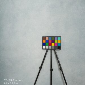 Backdrop 0526 - Light, cold gray