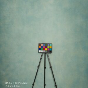 Backdrop 3579 - Turquoise, yellow