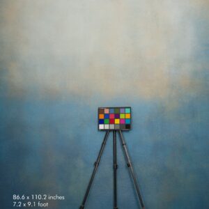 Backdrop 3582 - Beige, blue, ocher