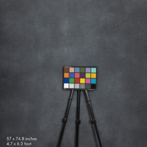Backdrop 0446 - Dark gray