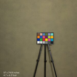 Backdrop 0456 - Peanut brown