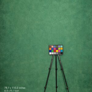 Backdrop 2251 - Forest green