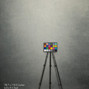 Backdrop 2254 - Warm, cold gray