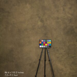 Backdrop 3503 - Peanut brown