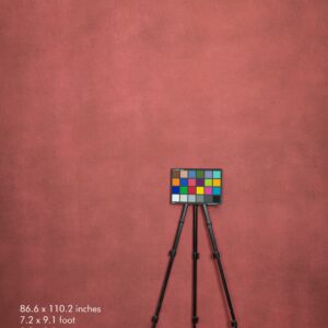 Backdrop 3513 - Salmon red