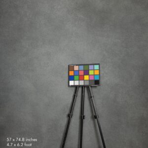 Backdrop 0478 - Gray