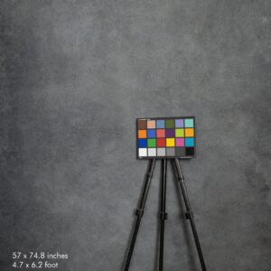 Backdrop 0479 - Gray