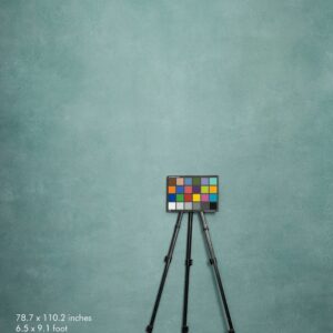Backdrop 2263 - Turquoise, light gray