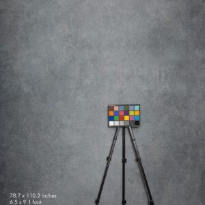 Backdrop 2264 - Gray