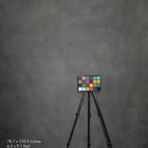 Backdrop 2268 - Ash gray