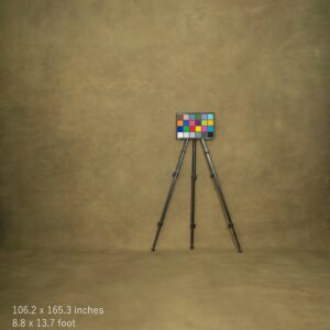 Backdrop 5117 - Olive, ocher, brown