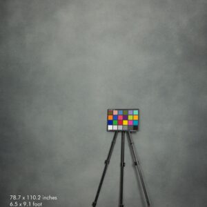 Backdrop 2270 - Ash gray
