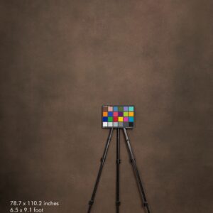 Backdrop 2271 - Brown