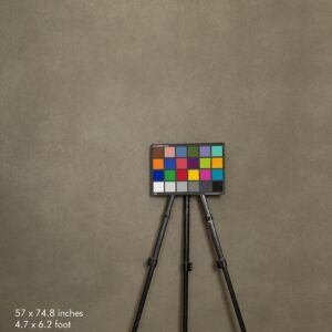 Backdrop 0496 - Peanut tortilla brown