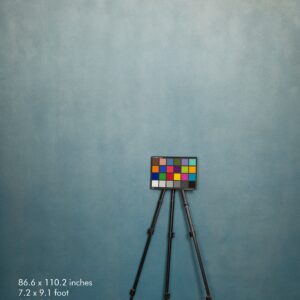 Backdrop 3535 - Ash, sky blue