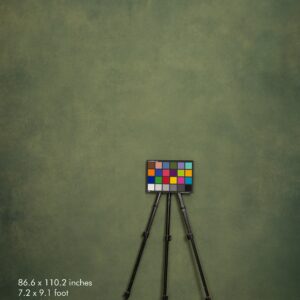 Backdrop 3539 - Green