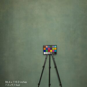 Backdrop 3542 - Light hunter green