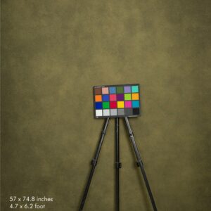 Backdrop 0503- Olive green