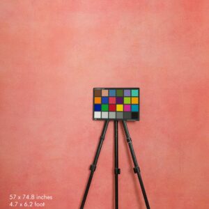 Backdrop 0518 - Pink, orange