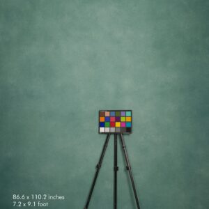 Backdrop 3555 - Laurel green, hunter green