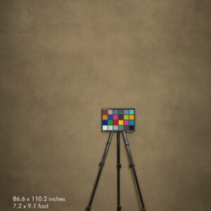 Backdrop 3557 - Peanut brown
