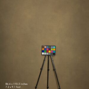 Backdrop 3559 - Peanut brown