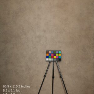 Backdrop 1188 - Cream, brown