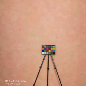 Backdrop 3564 - Salomon pink