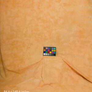 Artery Large S305 – Premium Soft Backdrop