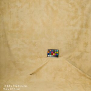 Artery Midd S400– Premium Soft Backdrop
