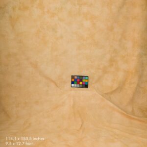 Artery Midd S401– Premium Soft Backdrop